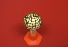 Researchers have taken an ordinary white button mushroom from a grocery store and made it bionic