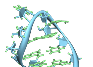 Scientists have identified an RNA molecule with broad powers to regulate the body’s inflammatory response to infection and injury