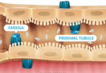 The diabetes drug Farxiga might do double-duty for patients, helping to ward off another killer, heart failure
