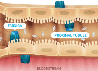 The diabetes drug Farxiga might do double-duty for patients, helping to ward off another killer, heart failure