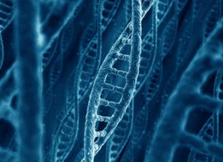 The failure of an important cellular DNA repair system promotes fragmentation and defective assembly of genetic material
