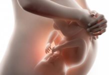 The kicks a mother feels from her unborn child may allow the baby to ‘map’ their own body and enable them to eventually explore their surroundings