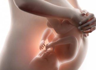 The kicks a mother feels from her unborn child may allow the baby to ‘map’ their own body and enable them to eventually explore their surroundings