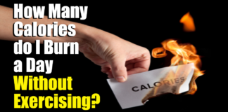 The number of calories people burn while at rest changes with the time of day