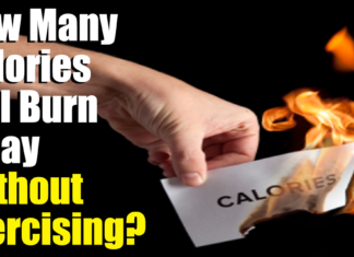 The number of calories people burn while at rest changes with the time of day