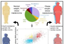 Treating obesity : researchers identified at least four different patient subgroups