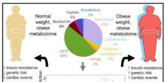 Treating obesity : researchers identified at least four different patient subgroups