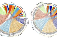UCLA biologists have discovered how head injuries adversely affect individual cells and genes that can lead to serious brain disorders