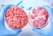US authorities agreed on how to regulate food products cultured from animal cells