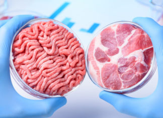 US authorities agreed on how to regulate food products cultured from animal cells