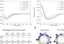Use of Cell-penetrating peptides (CPPs) as delivery vehicles in medicine