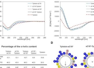 Use of Cell-penetrating peptides (CPPs) as delivery vehicles in medicine