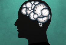 Researchers shows that brain has two clocks to predict the future