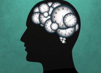 Researchers shows that brain has two clocks to predict the future