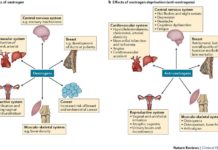 Estrogens are hormones that play central roles in the development and the physiology of the breast, but also are involved in breast cancer