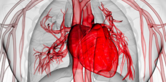 More personalized risk assessments for people at the highest risk for cardiovascular disease (CVD)