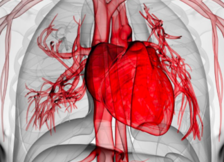 More personalized risk assessments for people at the highest risk for cardiovascular disease (CVD)
