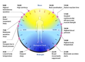 Researchers has identified circadian rhythm patterns in human skin based on genetic biomarkers