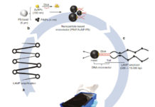 Researchers designed a portable and affordable mobile diagnostic tool, utilizing a cellphone and nanotechnology, with the ability to detect HIV viruses