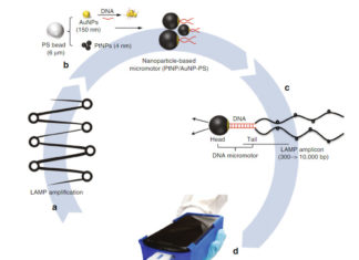 Researchers designed a portable and affordable mobile diagnostic tool, utilizing a cellphone and nanotechnology, with the ability to detect HIV viruses