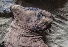 Egypt : local archaeologists have discovered seven Pharaonic Age tombs near the capital Cairo