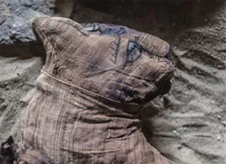 Egypt : local archaeologists have discovered seven Pharaonic Age tombs near the capital Cairo