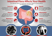 Over the years, researchers have learned that the different populations of bacteria that inhabit the gut have significant effects on body functions, including the immune system