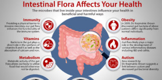 Over the years, researchers have learned that the different populations of bacteria that inhabit the gut have significant effects on body functions, including the immune system