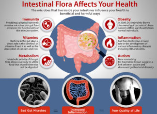 Over the years, researchers have learned that the different populations of bacteria that inhabit the gut have significant effects on body functions, including the immune system