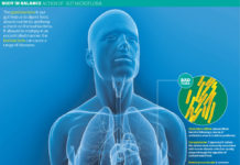 Transplanting gut bacteria from healthy donors was used to successfully treat patients suffering from severe colitis caused by treatment with immune checkpoint inhibitors (ICIs)