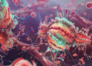 HIV-2 is more pathogenic than previously demonstrated