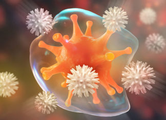 A newfound genetic regulatory mechanism play a key role in autoimmune diseases