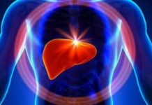 Link between liver damage and heart