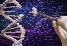 A simple modification of a DNA base in small areas of the genome may explain why glioblastoma tumors are so deadly