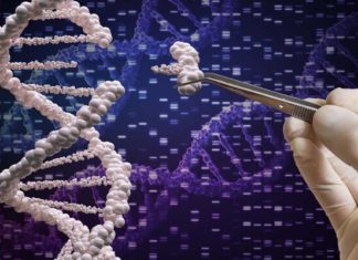 A simple modification of a DNA base in small areas of the genome may explain why glioblastoma tumors are so deadly