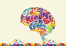 A new model created by UCLA scientists reveals how the alteration of a specific gene increases the risk for neurodevelopmental problems