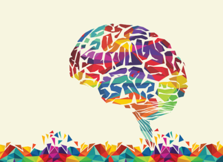 A new model created by UCLA scientists reveals how the alteration of a specific gene increases the risk for neurodevelopmental problems