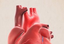 Researchers – microneedle patch to cardiac muscle can promote the repairing muscle after heart attack