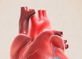 Researchers – microneedle patch to cardiac muscle can promote the repairing muscle after heart attack