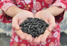 Researchers showed that raw human excrement can be converted to a safe, reusable fuel and a nutrient-rich fertilizer