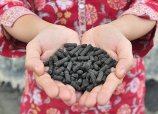 Researchers showed that raw human excrement can be converted to a safe, reusable fuel and a nutrient-rich fertilizer