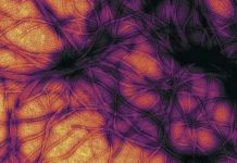 Researchers have found evidence of sCJD related prions in the eyes of patients
