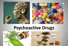 Researchers have developed a new strategy in the search for psychoactive drugs