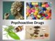 Researchers have developed a new strategy in the search for psychoactive drugs