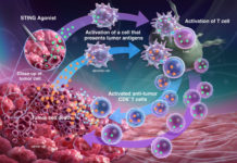 discovered potential new class of immunotherapeutic drugs to treat some of the most common cancers
