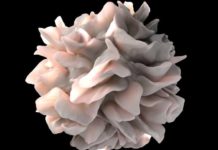 Reprogramming immune sentinels