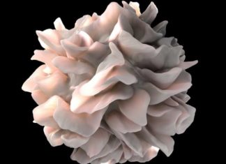 Reprogramming immune sentinels
