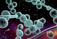 A new way to diagnose, treat and protect against stealth fungal infections