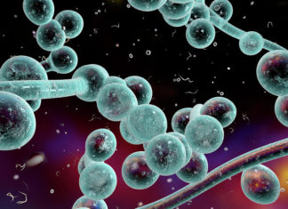 A new way to diagnose, treat and protect against stealth fungal infections