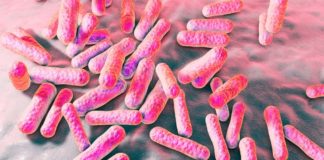 Acne treatments : new solution using microbiome